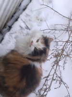 11012012439.jpg