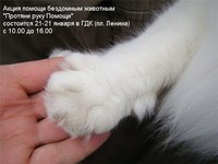 74d58d6d97f2.jpg