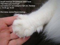 74d58d6d97f2 (1).jpg