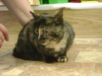 DSC03462.JPG