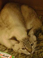 DSC03443.JPG