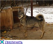 0e655f42d7aat.jpg