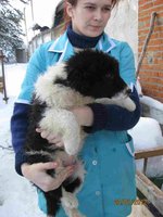 20.01 Атлант 010.jpg