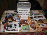 Выставка 005.jpg