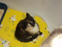 DSC01474.JPG