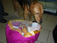 6d82c4a5e2f2.jpg (62.39 КБ) 3453 просмотра 6d82c4a5e2f2.jpg