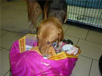 2001d9c78897.jpg (66.84 КБ) 3453 просмотра 2001d9c78897.jpg