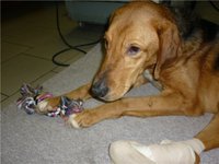 e157cbf9da36.jpg (47.94 КБ) 3453 просмотра e157cbf9da36.jpg