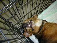 e27fa0c9d6bf.jpg (77.15 КБ) 3453 просмотра e27fa0c9d6bf.jpg