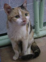 DSC03662.JPG