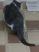 DSC03657.JPG