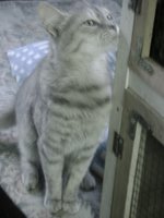 DSC03587.JPG