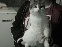 DSC03597.JPG