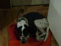 DSC03709.JPG