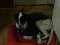 DSC03713.JPG