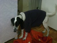 DSC03717.JPG