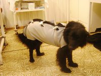 DSC03684.JPG