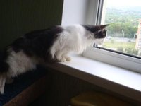 DSC02664.JPG