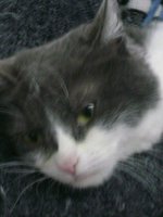 DSC03799.JPG