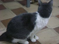DSC03822.JPG