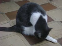 DSC03823.JPG