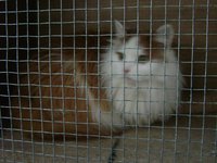 DSC03743.JPG