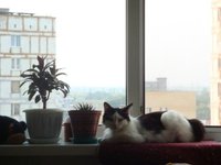 DSC02671.JPG