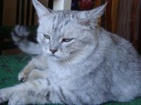 DSC02681.JPG