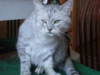 DSC02682.JPG
