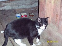 100_2602.JPG