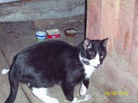 100_2602.JPG
