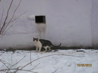 Лиза 001.jpg