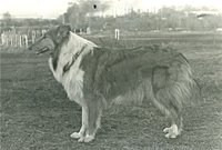 336e2931b8eb.jpg