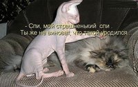 x_a8608f7e.jpg