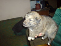 DSC04555.jpg
