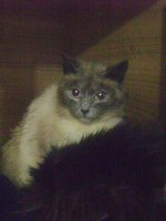 DSC04179.JPG
