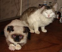 DSC00979.JPG
