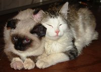 DSC00988.JPG