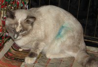 DSC00972.JPG