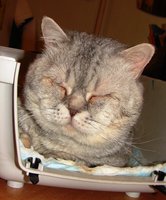 DSC00963.JPG