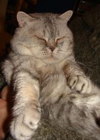 DSC00968.JPG