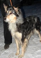DSC01010.JPG