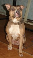DSC00977.JPG