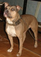 DSC00978.JPG