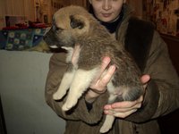 DSC01810.JPG