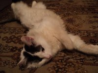 DSC01800.JPG