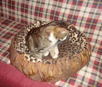 DSC02968.JPG