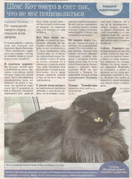 про кота.jpg