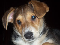20120226223942_100_2085.JPG