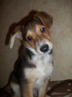 20120226224900_100_2096.JPG